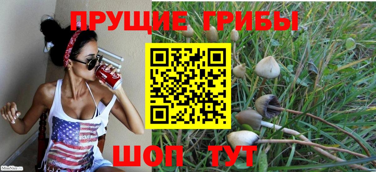 Галлюциногенные грибы GOLDEN TEACHER Верхняя Пышма