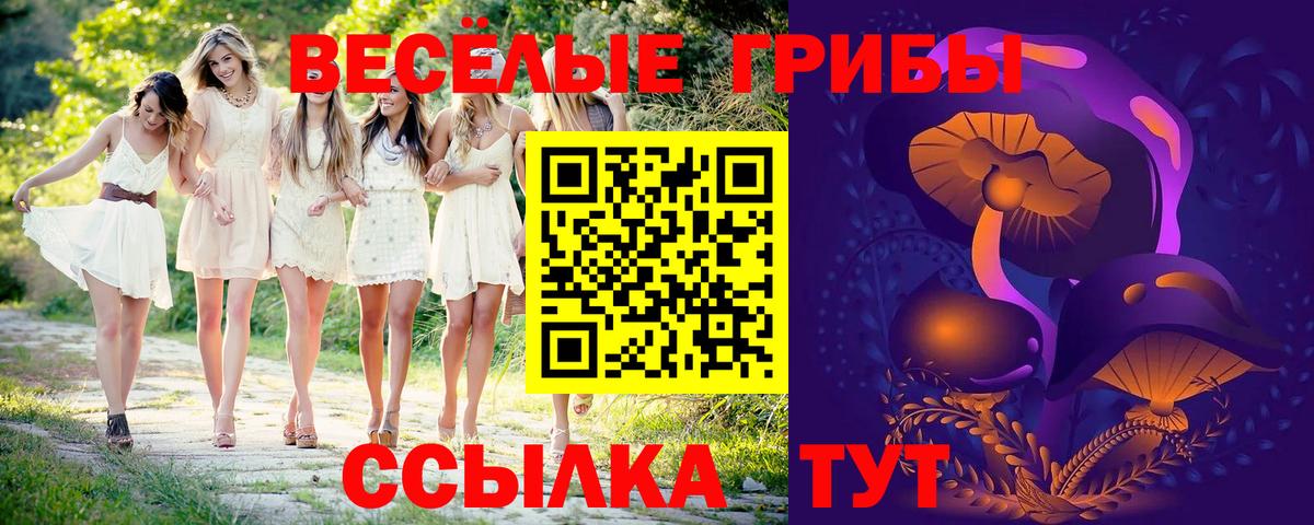 Галлюциногенные грибы Psilocybine cubensis  Вход с VPN  Верхняя Пышма 